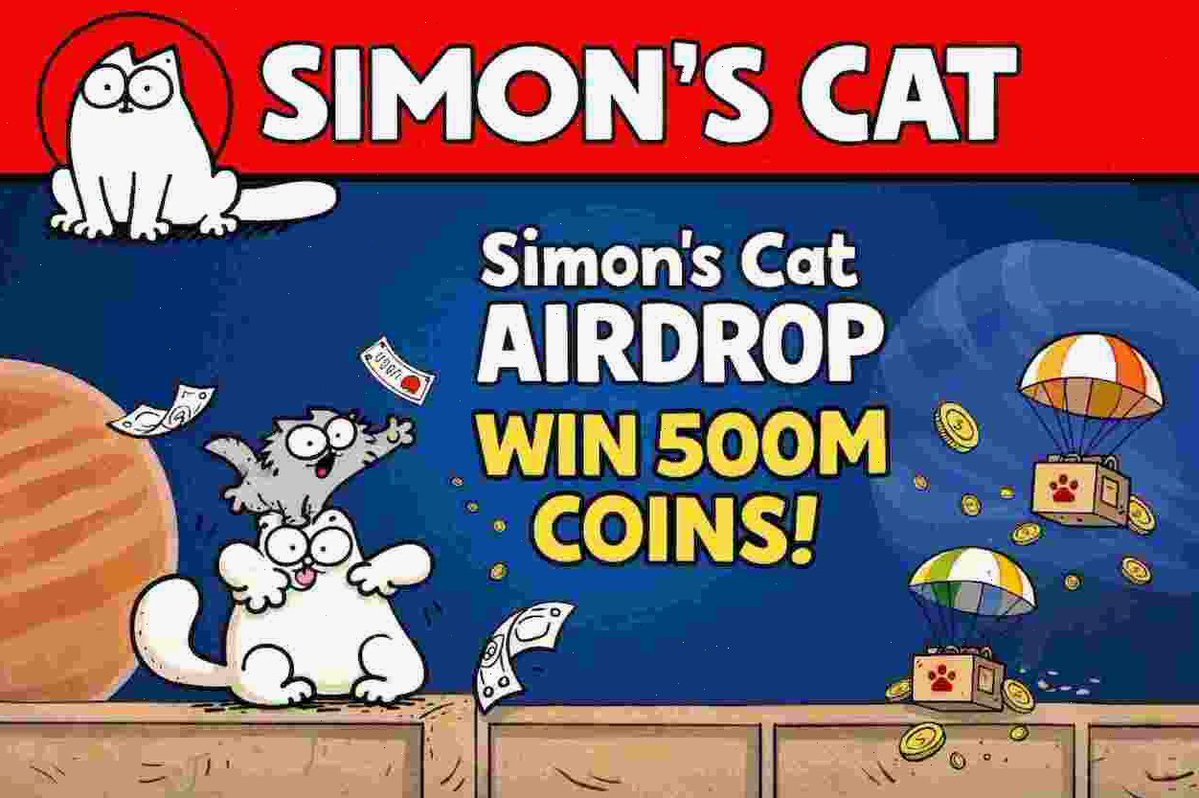 Josefa Carvalho tweet media