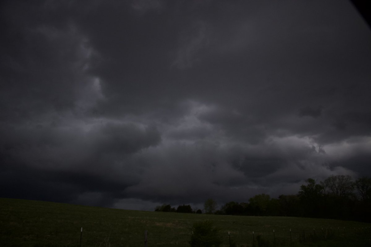 dreamland tweet media