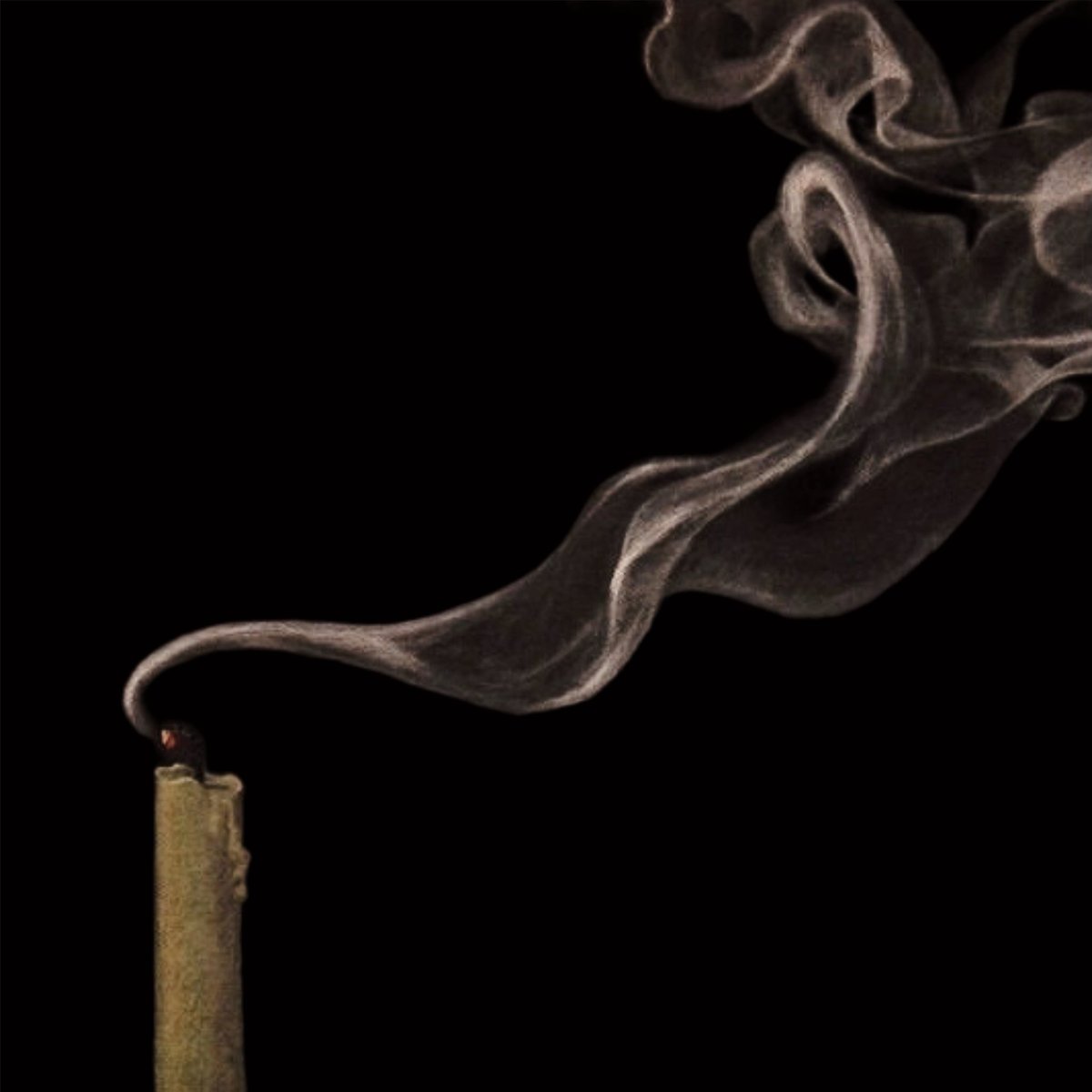 ‍ ‍ ℘ 𝒆𝒍𝒍𝒂‍ tweet media