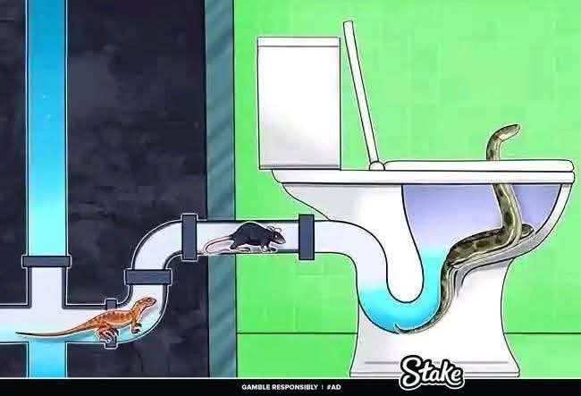 BSAT Properties tweet media