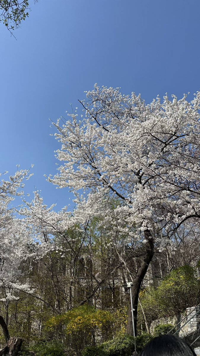 소원 tweet media
