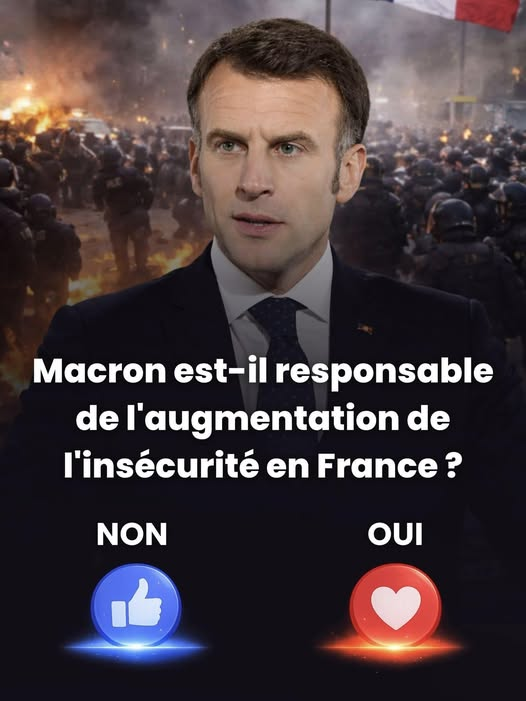 PHILSudouest tweet media