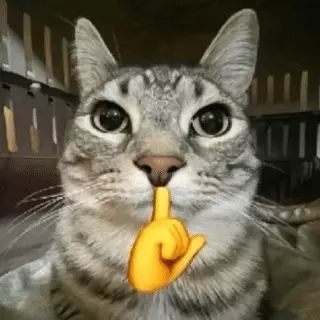 Ruipeng. tweet media