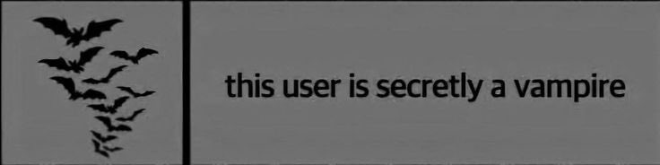 𝔪𝔬𝔯𝔱𝔢𝔪𝔦𝔞 ☥ tweet media