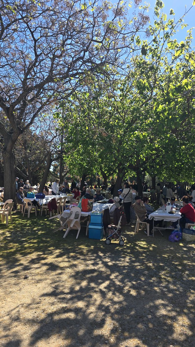 Pere Segura tweet media