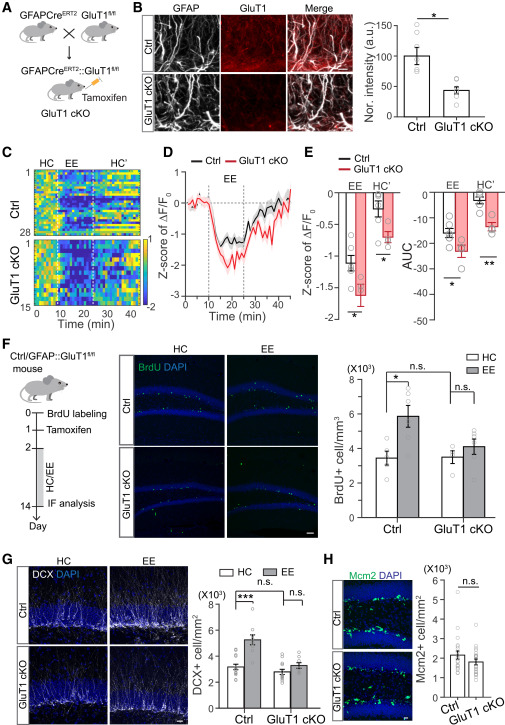 Neuron tweet media