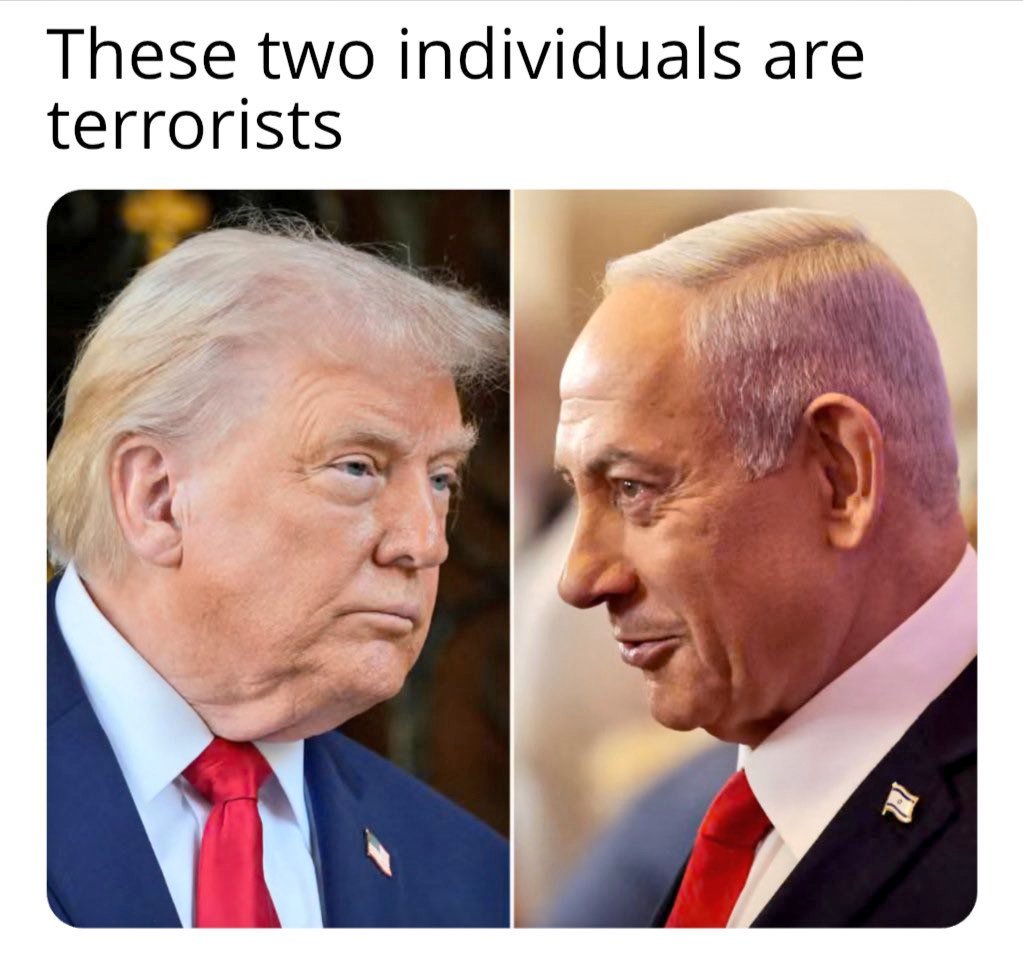 NORTONAGB tweet media