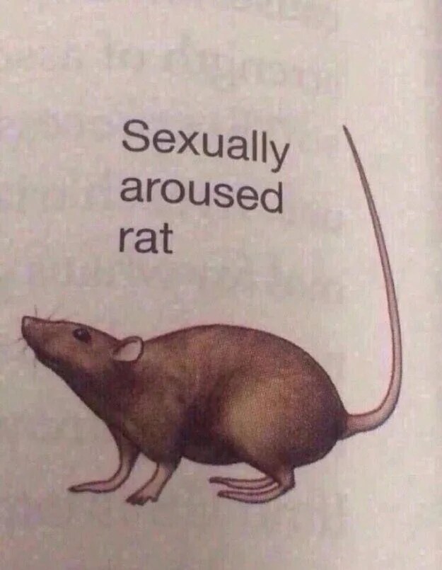 두바이마이클옴쫀득잭슨 tweet media