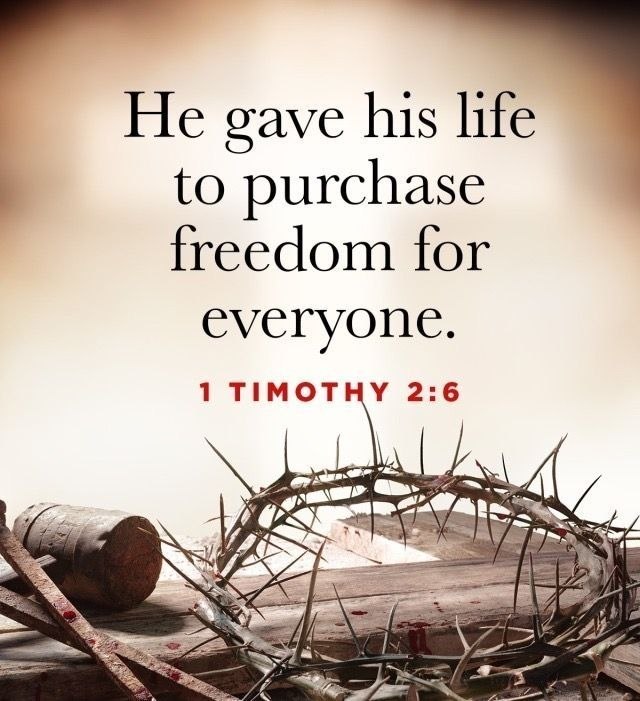 Community Happy Dogs tweet media