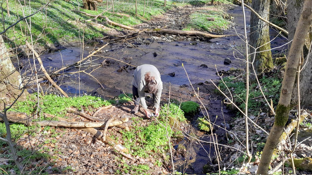 Ormuz 🕊 tweet media