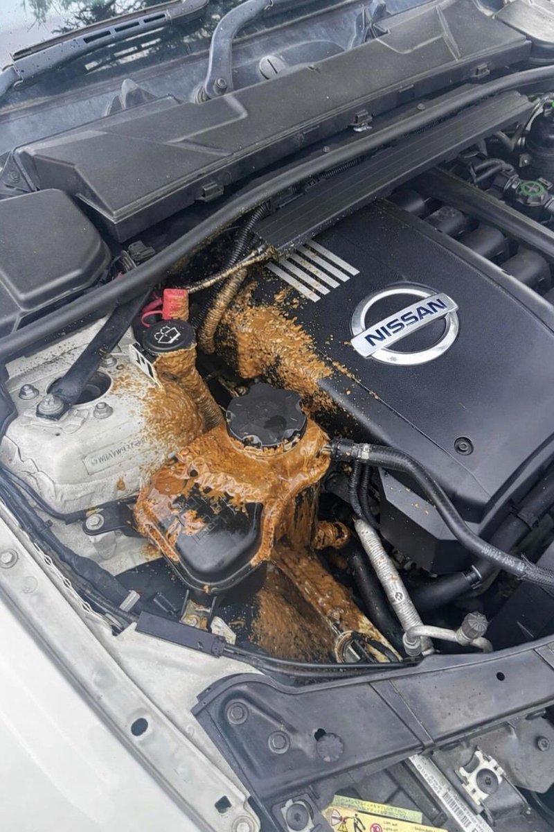 Dilara ben tweet media