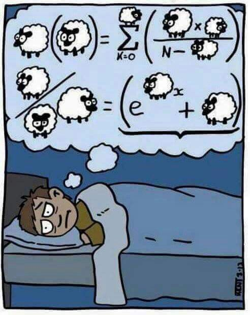 Code Geek tweet media