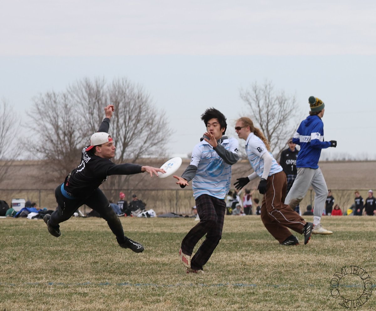 Donald A Rummelhart tweet media