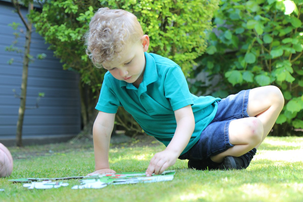 Green Bean Collection tweet media