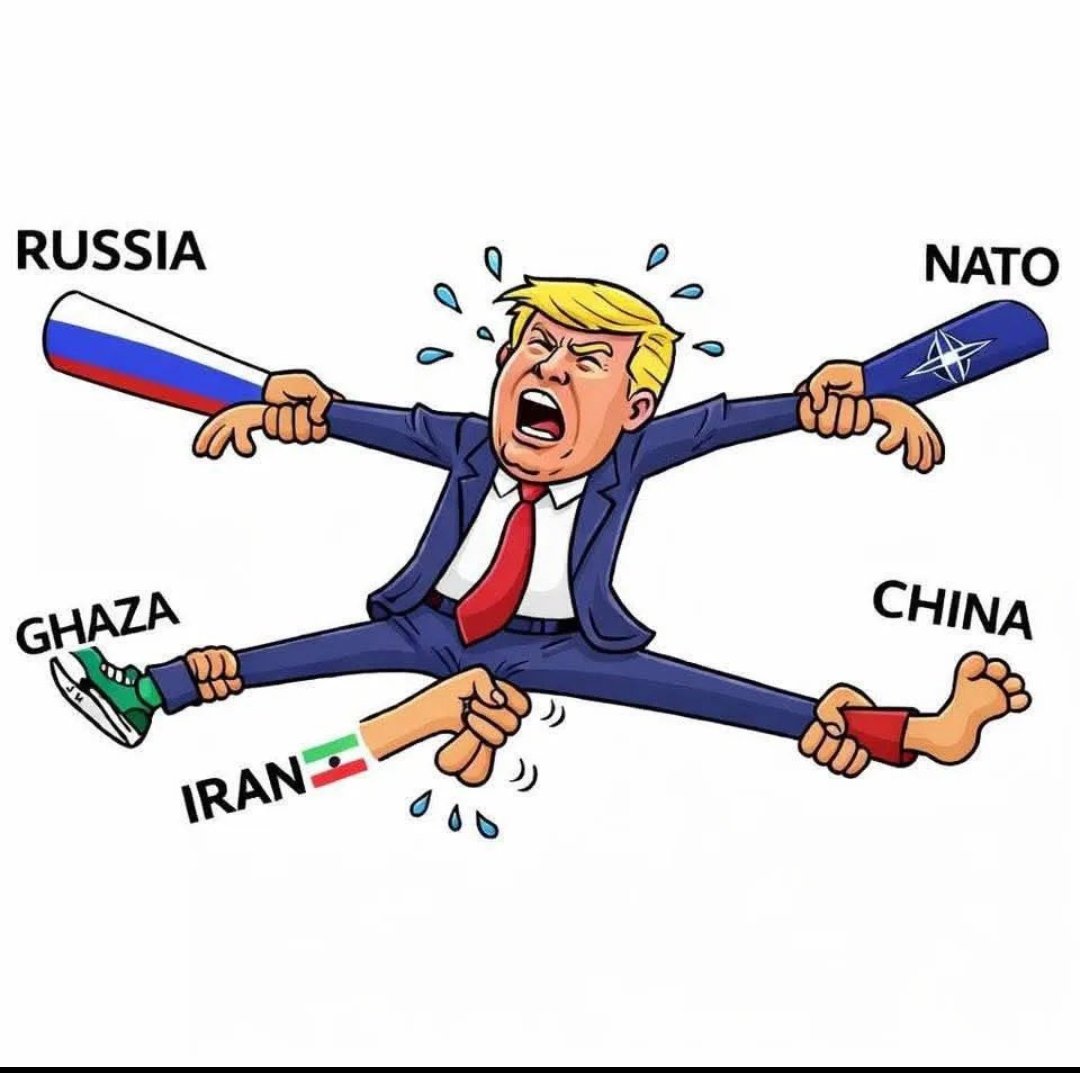 المتنبي tweet media