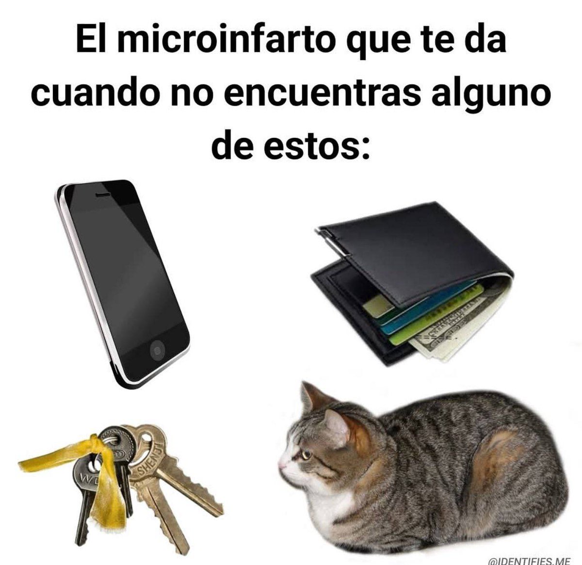 ✪Miniloquendo The Hedgehog✪ tweet media