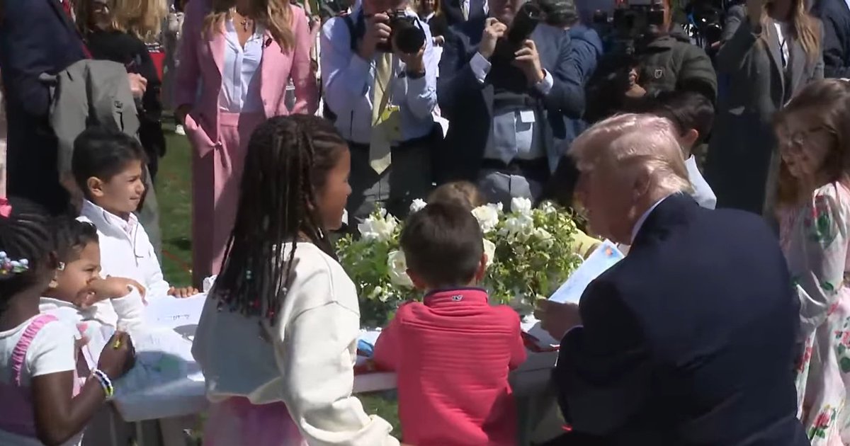 Whale Psychiatrist ™️ tweet media