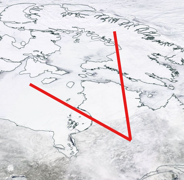 MeWhenSkull tweet media