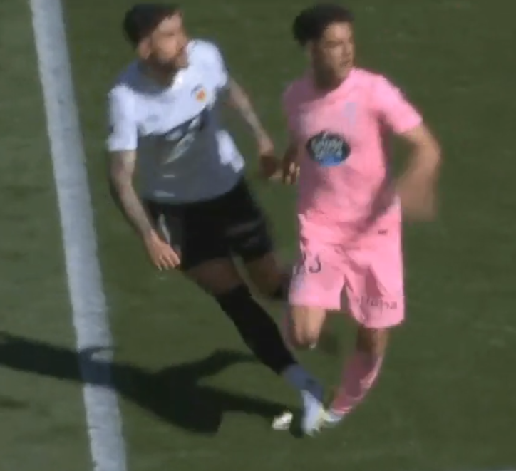 Míster Seitán tweet media