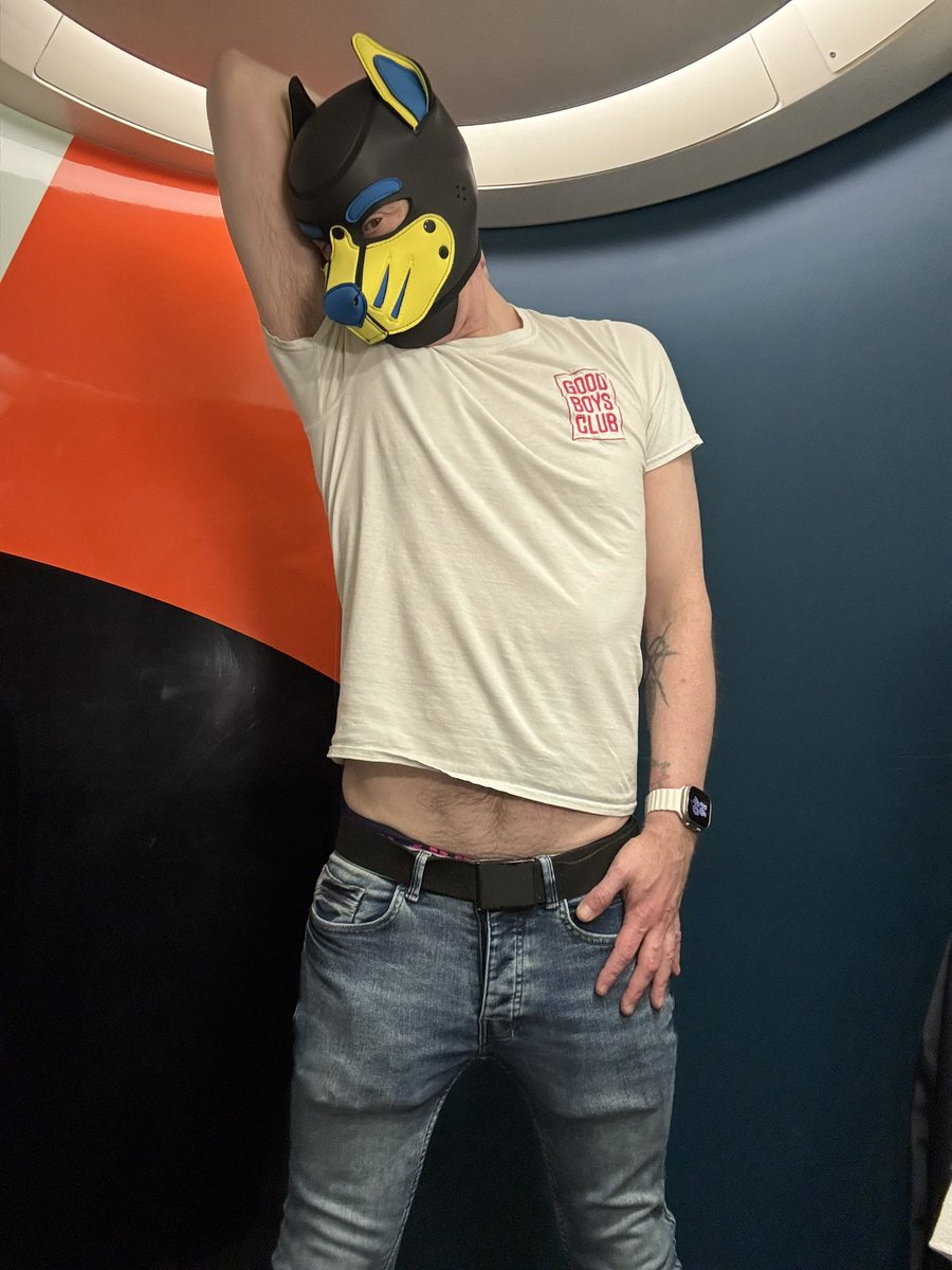 Helios Cobalt 🔜 KK & Collared tweet media