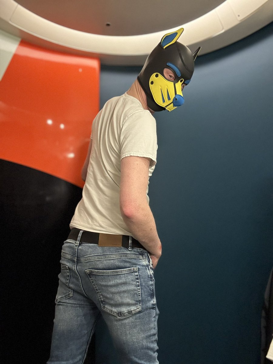 Helios Cobalt 🔜 KK & Collared tweet media