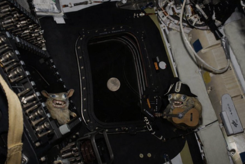 Sₚₒₙgₘₒₙₖₑyₛ tweet media