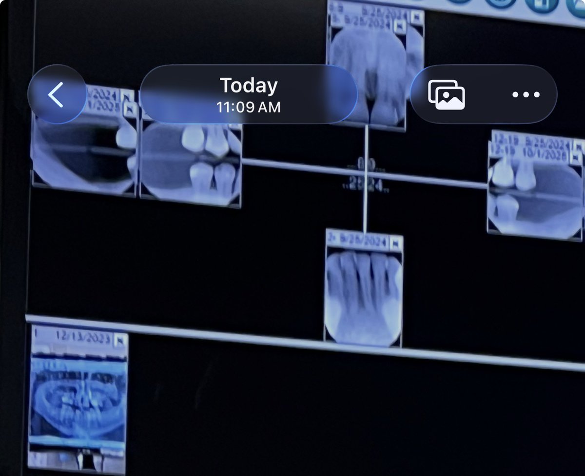 Timothy Norman tweet media