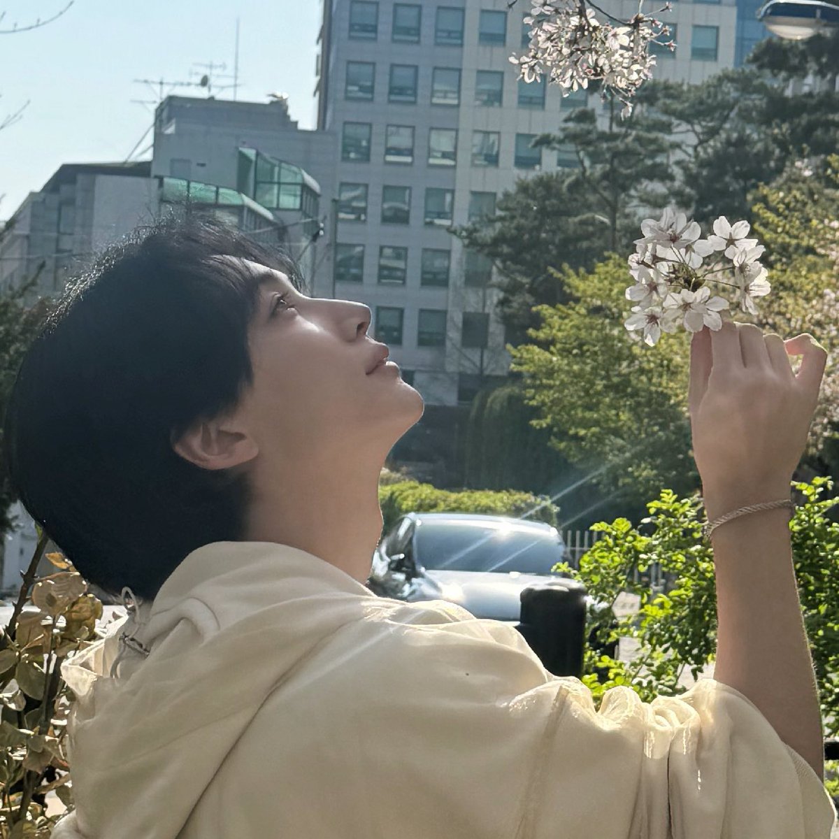 🐈‍⬛ tweet media