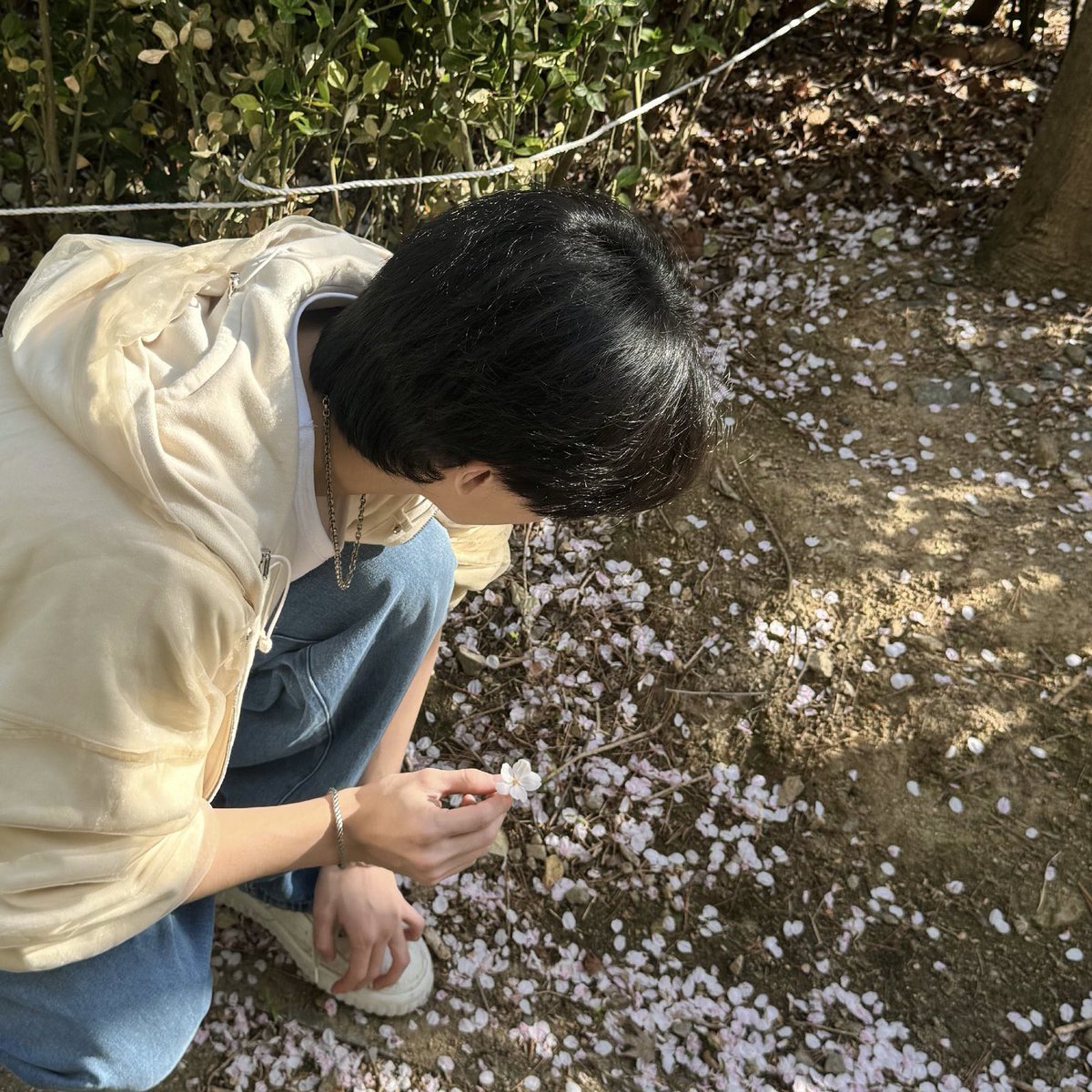 🐈‍⬛ tweet media