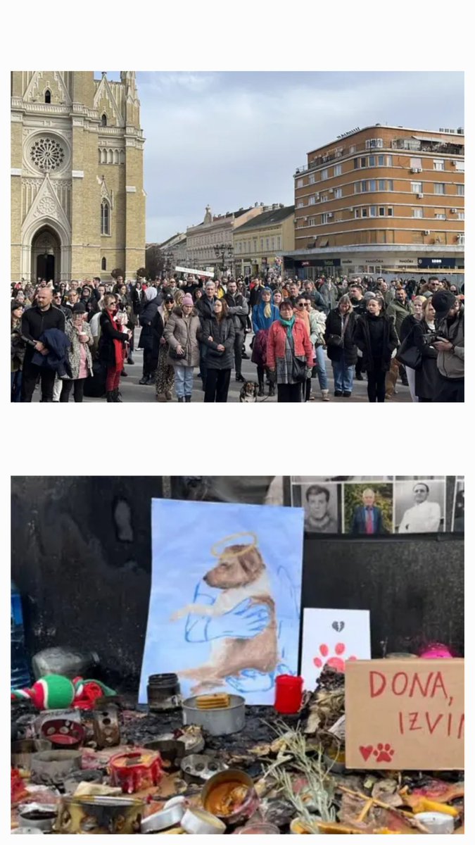 BiseriDrugeSrbije tweet media