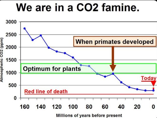 Johannes Springer tweet media