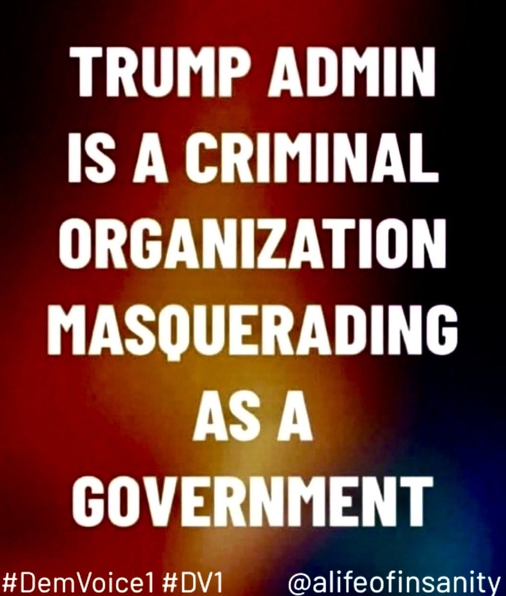 Mikeyest Mikey Mike tweet media