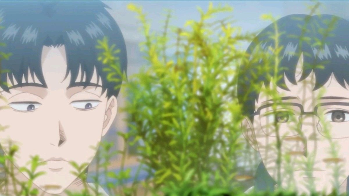 ♡̩͙ ᐡ•͈ ·̭ •͈ᐡ まぬあん tweet media