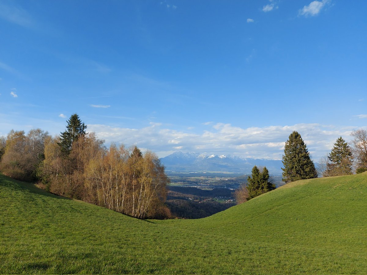 Matjaž Leskovar tweet media