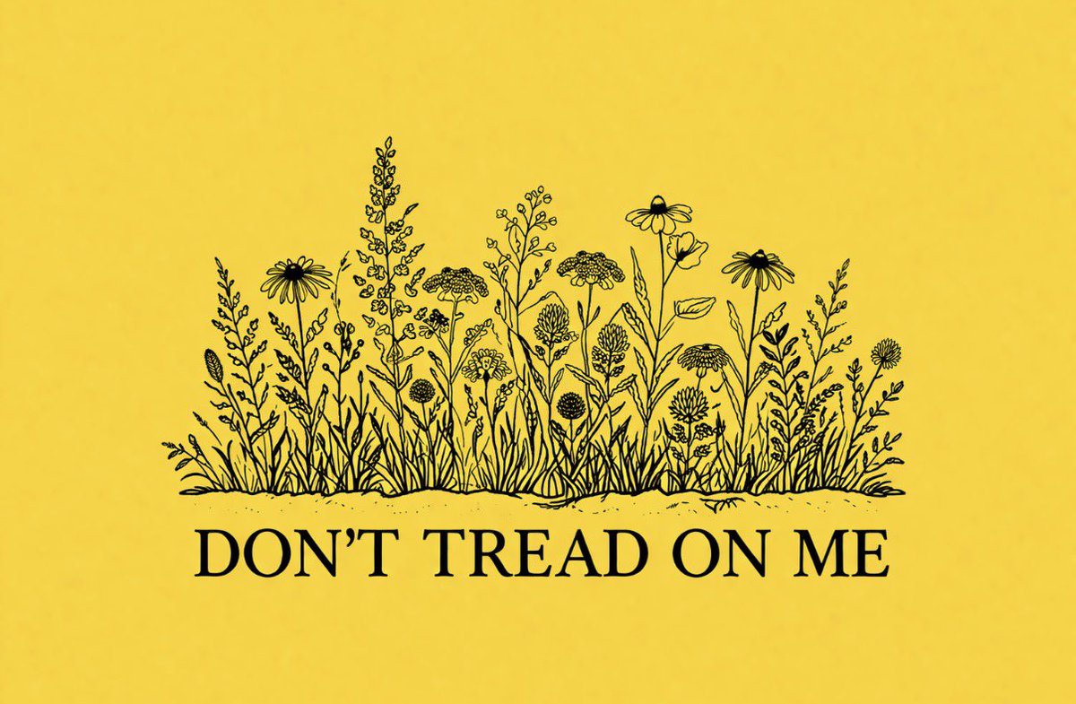 seraphina tweet media