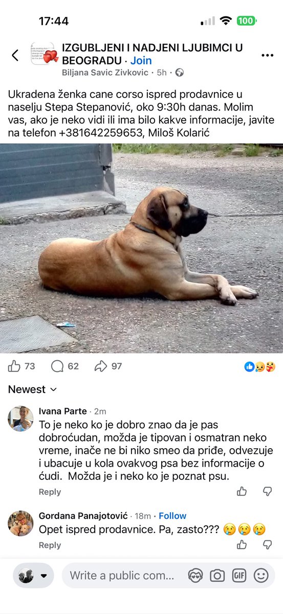 Mother of Dragons tweet media