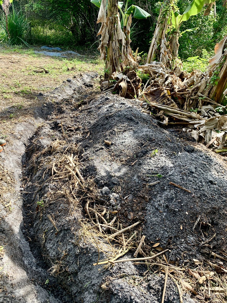 Corey Sweet tweet media