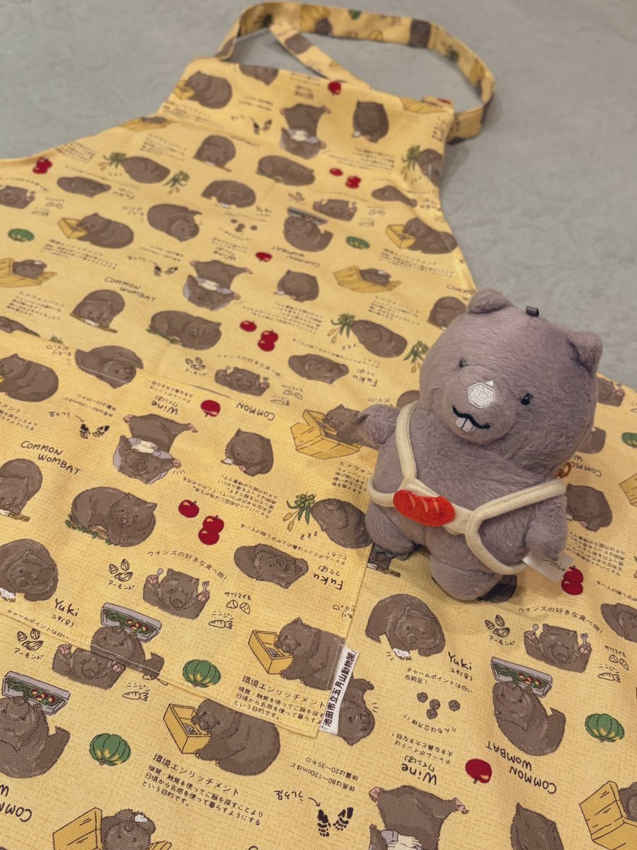 おとうふ tweet media