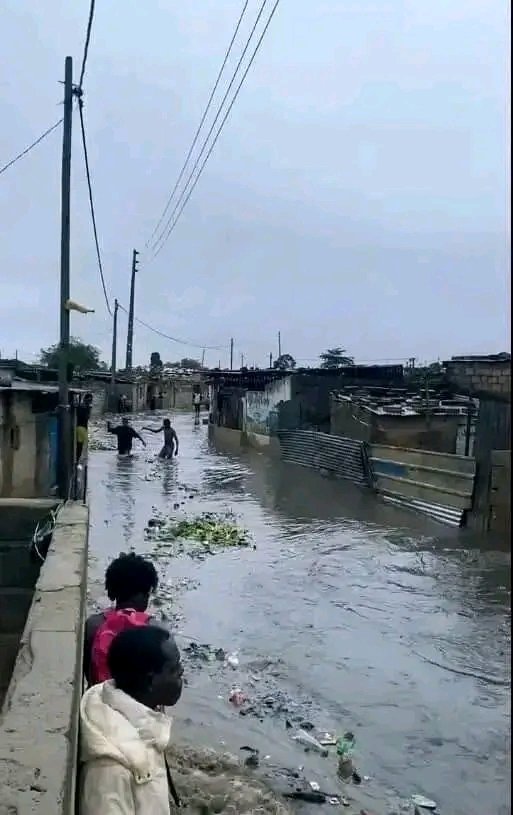 Latifundiário tweet media