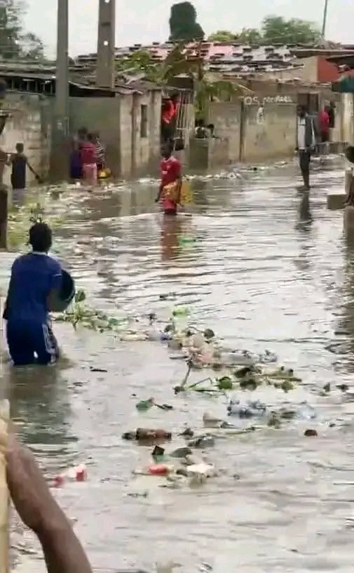Latifundiário tweet media