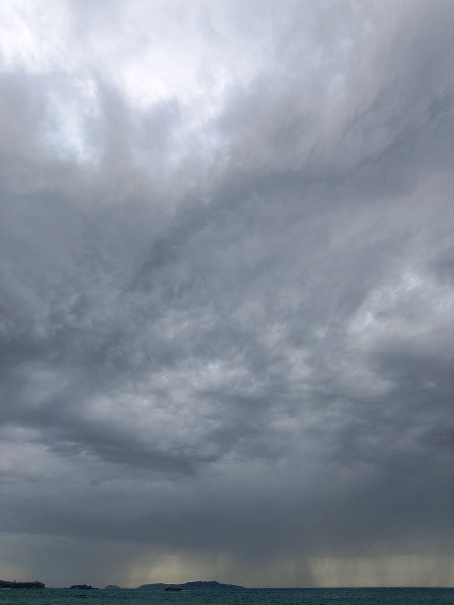 O Davinha 🍍 tweet media