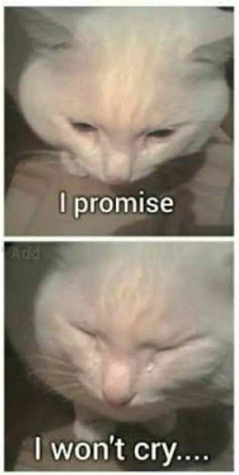 Otto Von Tweetmarck tweet media