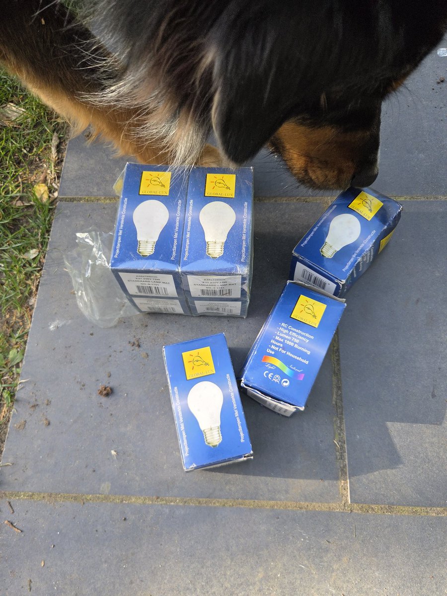 Rowab8's tweet photo. I just found the jackpot in my garage @levelsio . Good old gloeilampen :) https://t.co/Zh19vjHluO