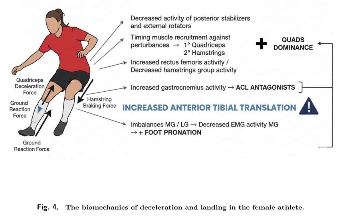 Jesús Mateo Cortés tweet media