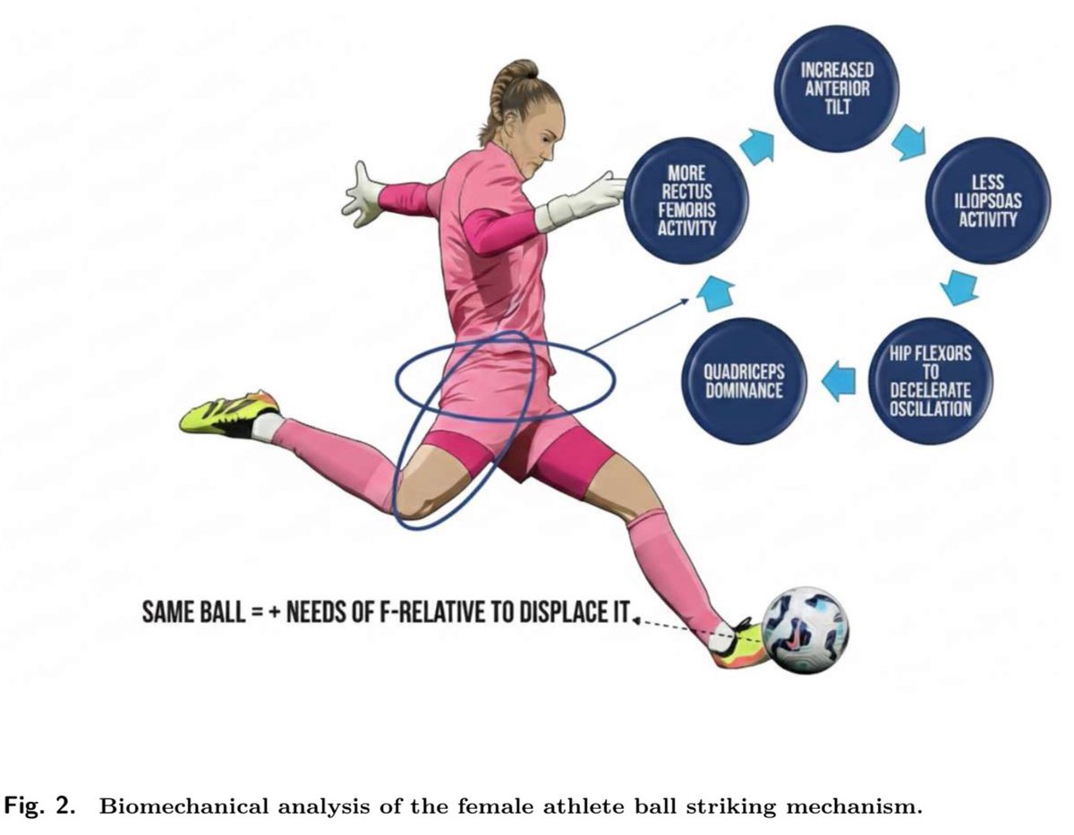 Jesús Mateo Cortés tweet media