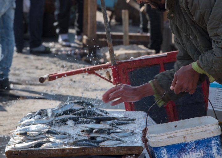 ʜᴇʀQʟᴇs tweet media