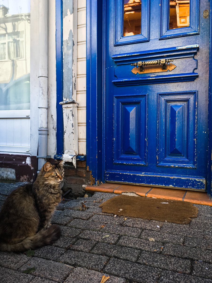 فيصل 🍉 tweet media