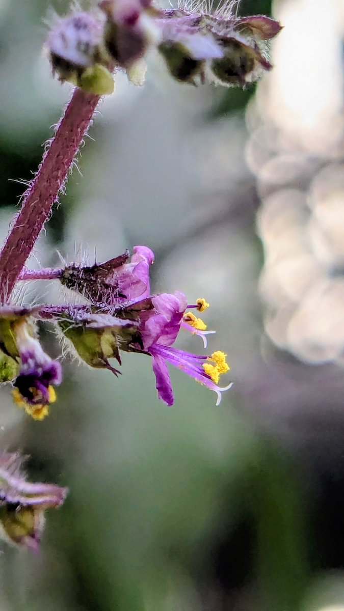 तुमसे, तुम्हारी बातें .. tweet media
