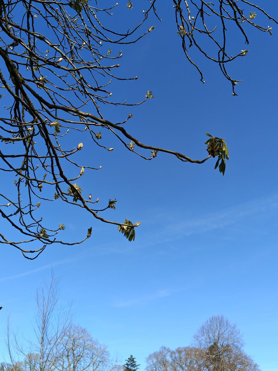 DerrenDigital's tweet photo. Spring Incoming ☀️

#withnothing https://t.co/F5JdkOS6fU