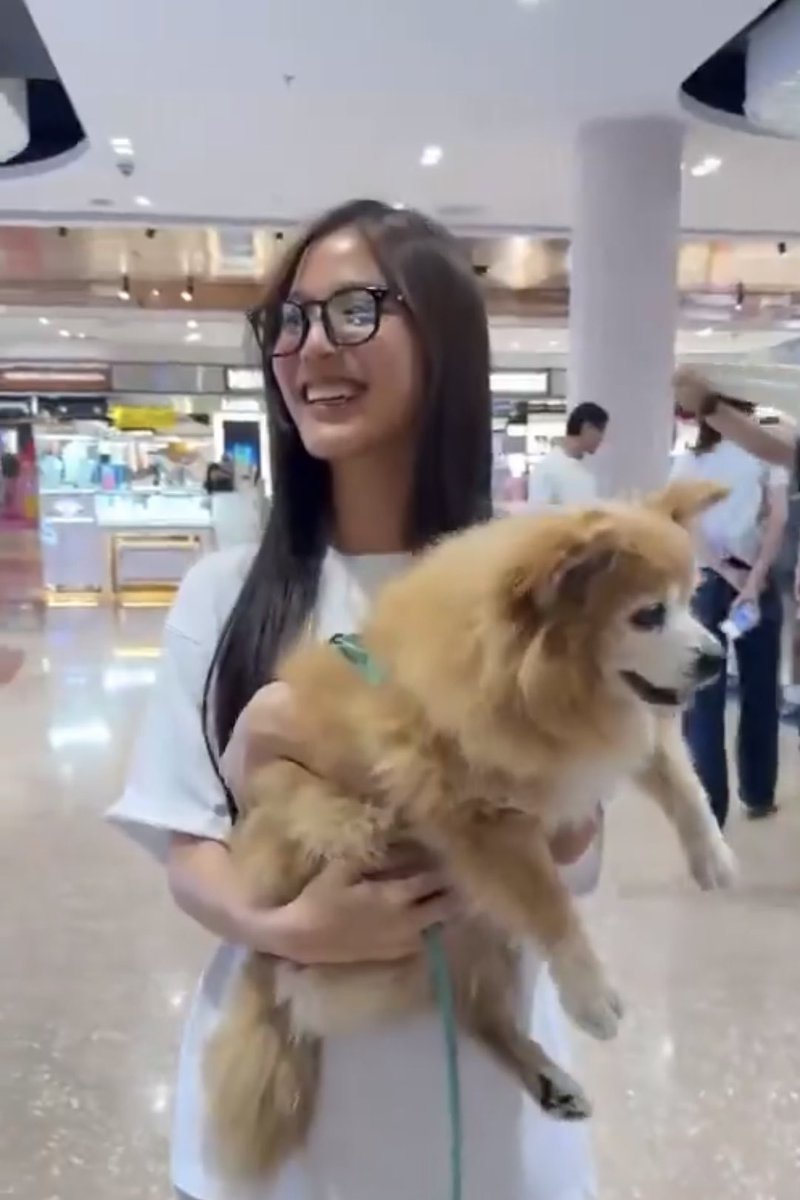 ¢н︎σя︎ᶜʰᵃ — シ tweet media